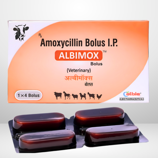 (ALBIMOX) Amoxycillin Bolus I.P. 1×4(Veterinary)